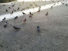 -宪法广场