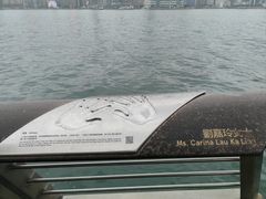 -星光大道