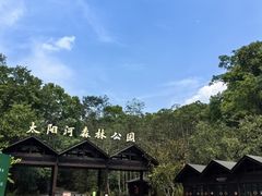 -普洱太阳河森林公园