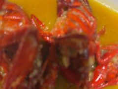 -怪怪龙虾·澳洲蓝龙上新(惊驾路店)