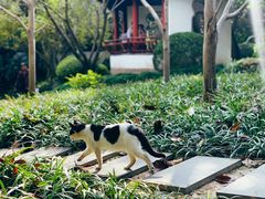 -秋霞圃