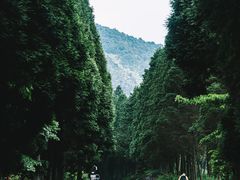 -庐山风景名胜区