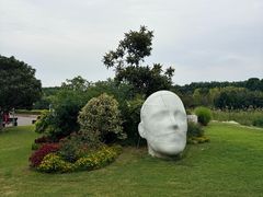 -郑州植物园
