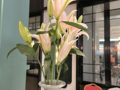 -南堂馆·新川菜(春熙路店)