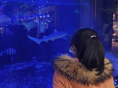 -凯德广场(学府店)