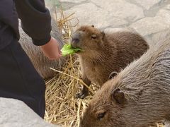 -宁波野生动物园