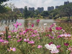 -南沙蒲洲花园