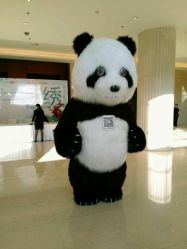 -万丽天津宾馆宴会厅