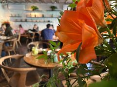 -Apollo·西班牙小酒馆(安福路店)