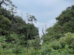 -峨眉山风景名胜区
