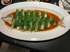 清蒸白鱼-芳芳私房菜·精做淮扬菜(承德路店)