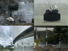 -罗红摄影艺术馆