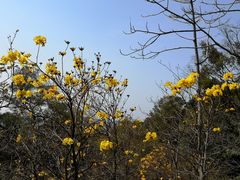 -广州市白云山风景名胜区