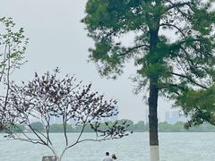 -东湖磨山景区
