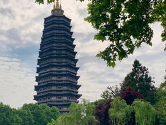 -红梅公园
