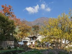 -塔川景区