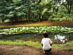 -长白岛森林公园