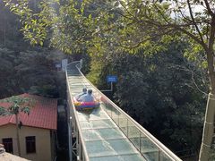 -南丹山森林王国