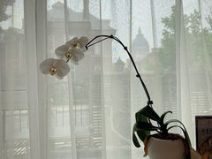 景观位-子霖南山鲜虾面(南山总店)