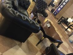 -上海月星家居(澳门路店)