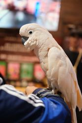 -Zoolung Zoolung动物主题公园(海信广场店)