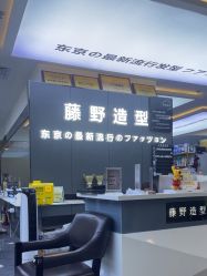 点击看大图 -藤野造型