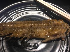 -叹鱼风尚烤鱼餐厅