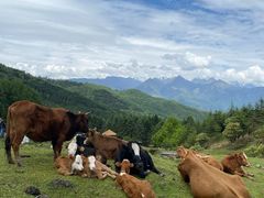-硗碛藏寨·神木垒景区