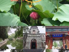 -莲池书院博物馆