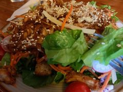 日式照烧鸡肉沙拉-萨尔瓦多Salvador's