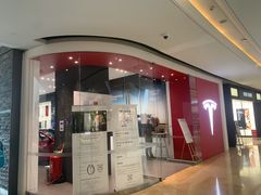 -TESLA 特斯拉(北京颐堤港体验店)