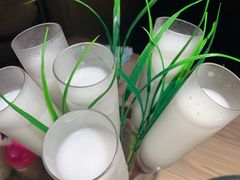 -探窝·竹笙椰子鸡(杨箕店)