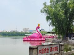 -莲花池公园