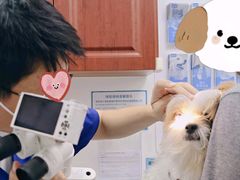 -美联众合动物医院·24h转诊中心