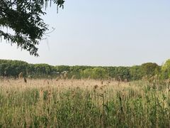 -同里国家湿地公园