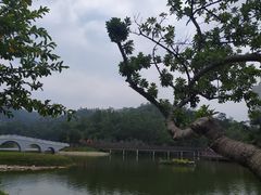 -香山湖公园