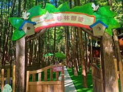 -山王坪喀斯特国家生态公园