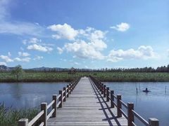 -漩门湾国家湿地公园