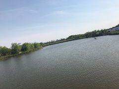 -杭州湾海上花田景区