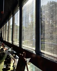 -托尼洛·兰博基尼书苑酒店·宴会厅