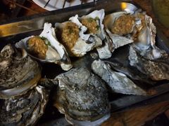 -八一湛江生蚝(文明东路总店)