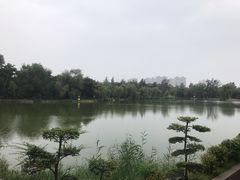 -渭滨公园