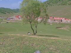 -关山草原