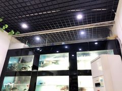 -全乐鱼馆·淳牌有机鱼直营店