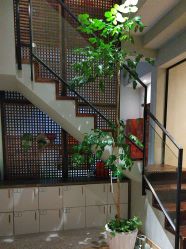 -香秀空间科技抗衰·美容中心