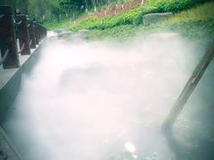 -重庆彩云湖湿地公园