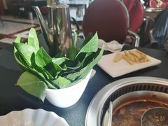 -葛记红焖羊肉(和平路形象店)