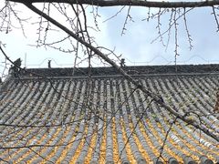 -金堂县云顶石城风景区