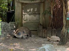 -广州长隆飞鸟乐园