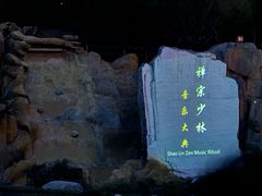 -禅宗少林·音乐大典